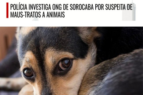 Polícia investiga ONG de Sorocaba por suspeita de maus-tratos a animais