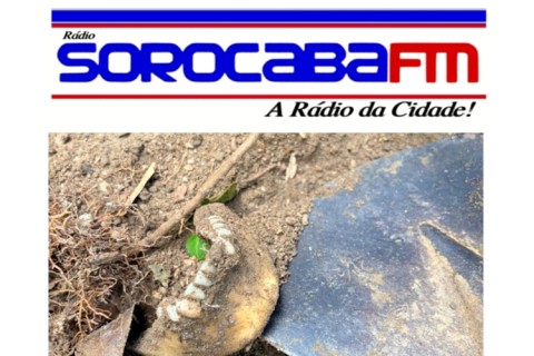 “BUSCA MACABRA EM VOTORANTIM: suspeito aponta local onde podem estar cabeça e mãos de vítima”