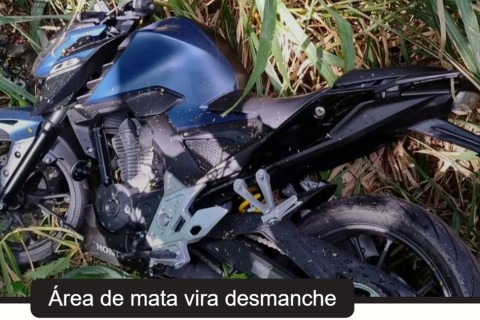 GCM encontra motos furtadas em mata próximo de condominio de luxo