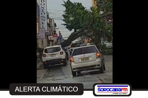 Temporal com granizo provoca alagamentos, quedas de árvores e danos estruturais na região de Sorocaba
